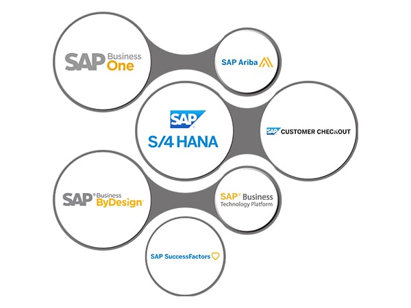SAP-Circle-infographic-100-I-600x450px
